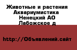 Животные и растения Аквариумистика. Ненецкий АО,Лабожское д.